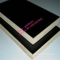 Brown Film Construction Plywood & Film Faced Plywood